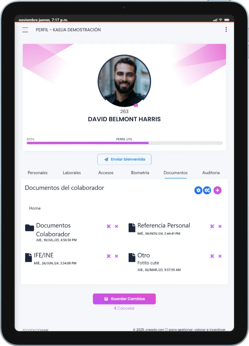 Expediente digital 360 grados del colaborador - Kaelia