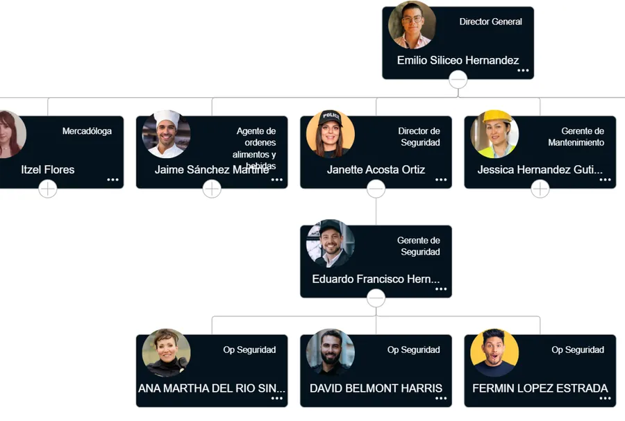 Organigrama digital y Matriz 9 Cajas de Kaelia